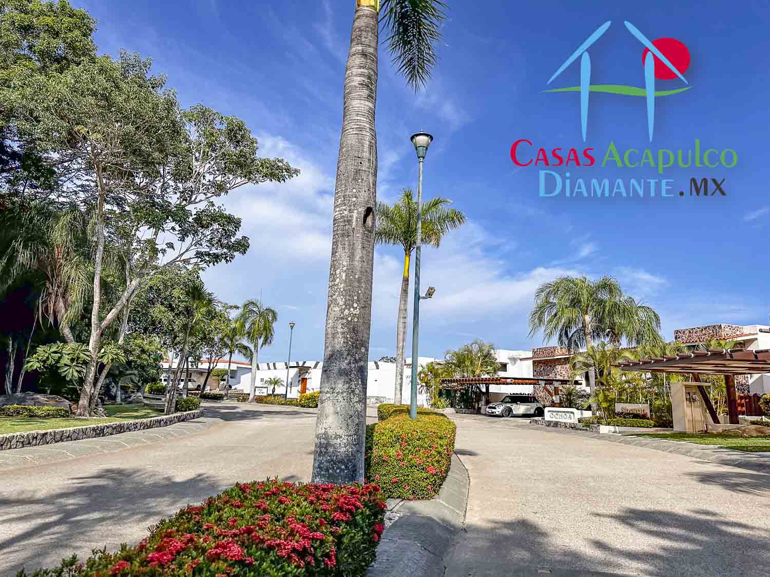 Terreno La Cima PS 16 - Vialidades La Cima 3 Terreno La Cima PS 16 - Vialidades La Cima 3